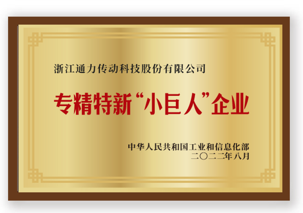專(zhuān)精特新'小巨人'企業(yè)